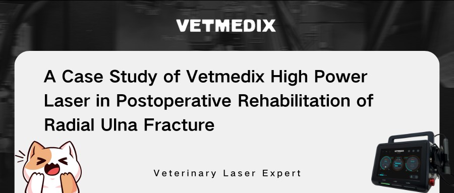 Споделяне на случаи на VetMedix 丨 Лазерна терапия с висока мощност при следоперативна рехабилитация на радиална счупване на улна